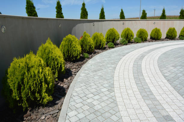 Best Decorative Driveway Pavers  in Madera Ranchos, CA
